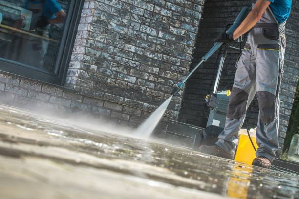 Best Driveway Pressure Washing  in San Elizario, TX